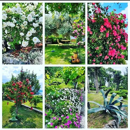 Casa Milolaza * ムリニ